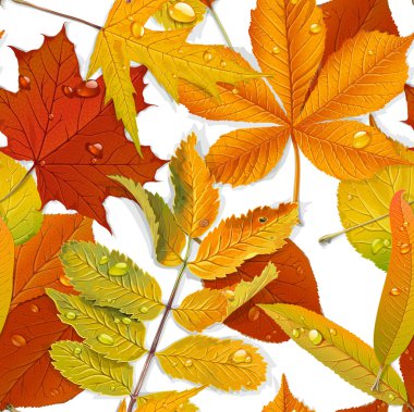 seamless modeli sonbahar yaprakları üzerinde beyaz background1
