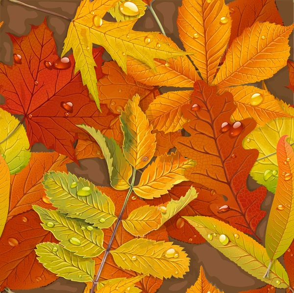 Nahtlose Muster aus Herbstlaub auf dem Boden — Stockvektor