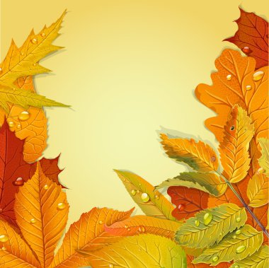 arka planda sarı ve kırmızı sonbahar yaprakları