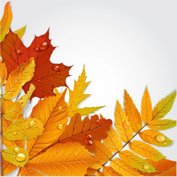 黄色と緑の秋の葉の背景 1 — ストックベクタ