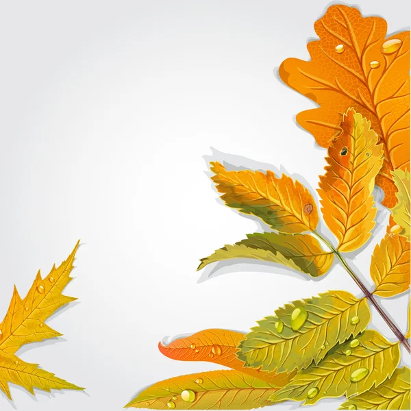 Sfondo di foglie d'autunno di giallo e verde — Vettoriale Stock