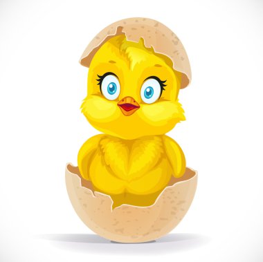 Bir yumurtadan kabarık küçük karikatür civciv yumurtadan 