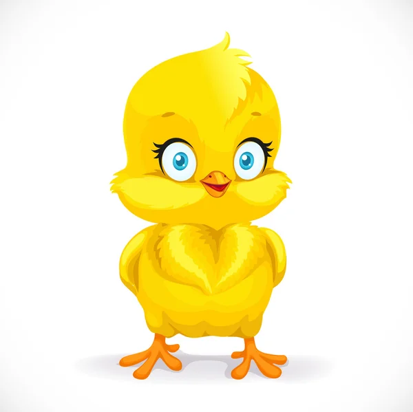 Krásné malé žluté kuře izolovaných na bílém pozadí — Stockový vektor