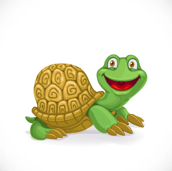 Kreslený baby želva izolovaných na bílém pozadí — Stockový vektor