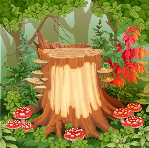 Toadstools 둘러싸인 루터와 산림 glade — 스톡 벡터