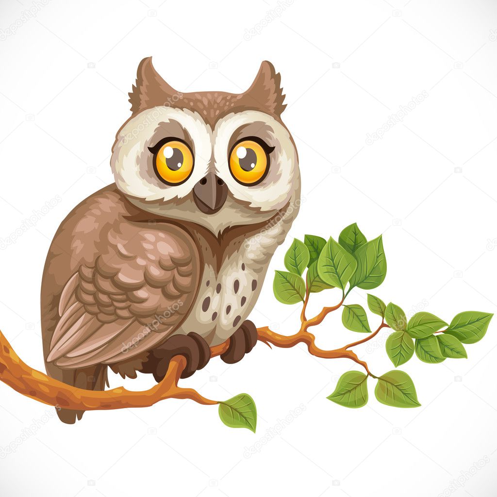 Cute owl sitting on a branch isolated on a white background