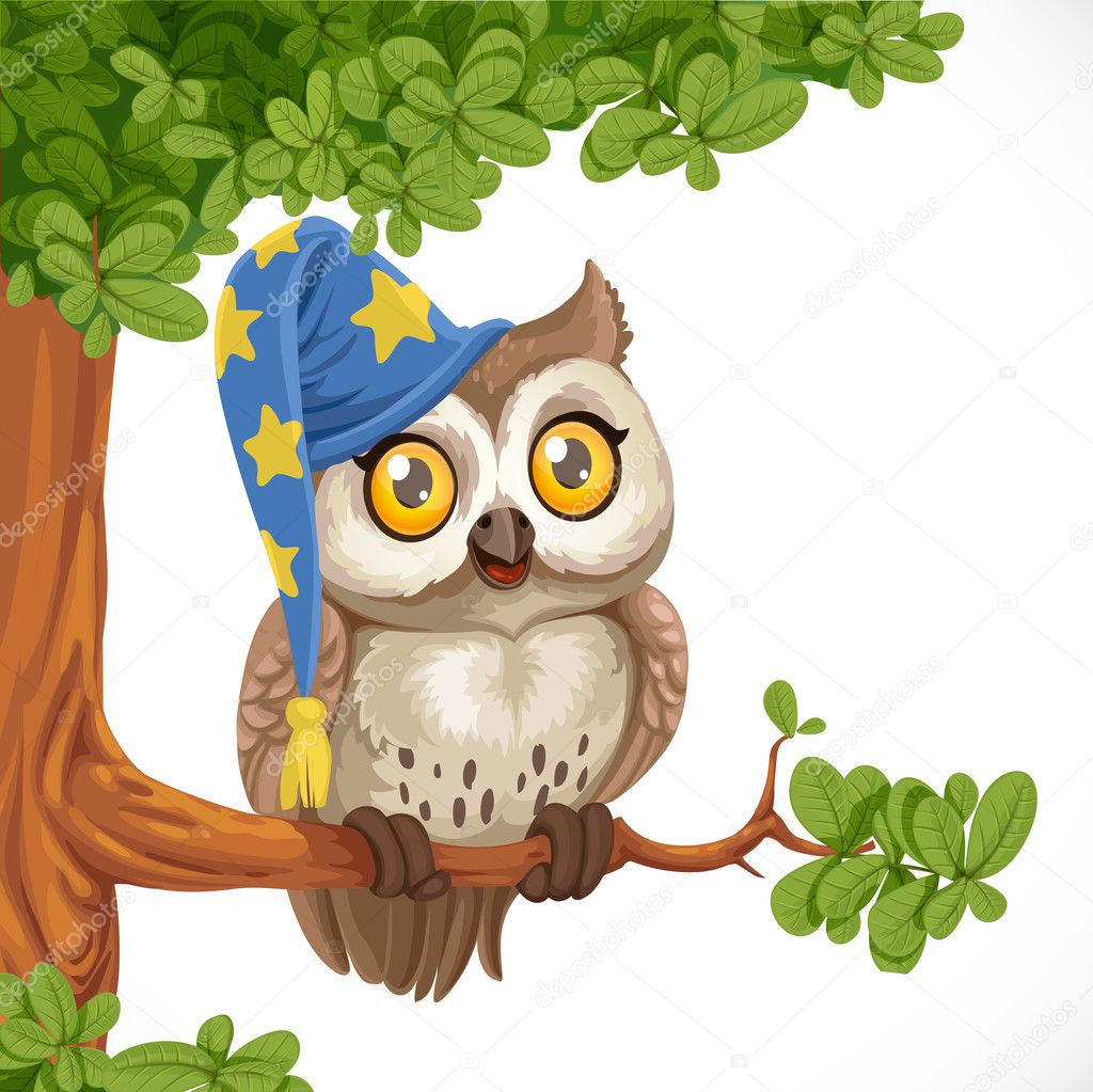 Cute owl wearing a hat sitting on a tree branch isolated on a wh
