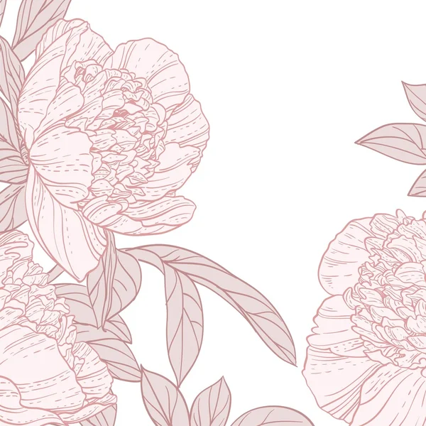 Fond de belles pivoines ligne art — Image vectorielle