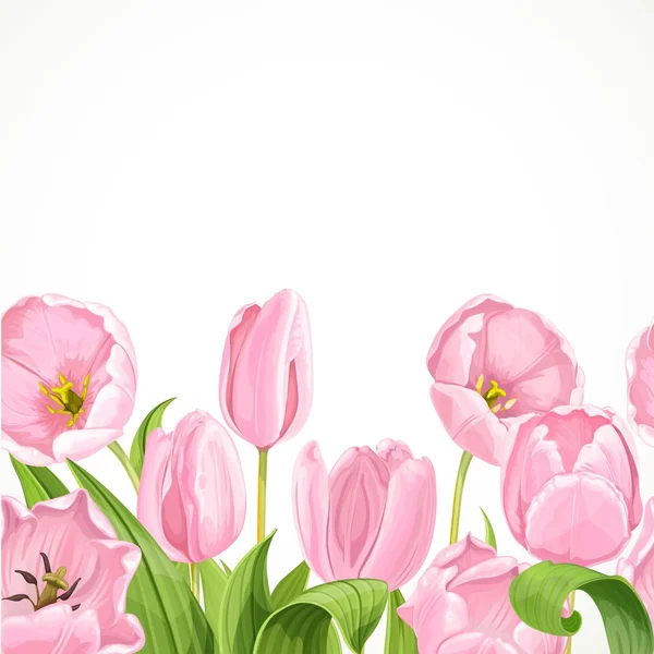 Rosa vector flores fondo transparente tulipanes — Vector de stock