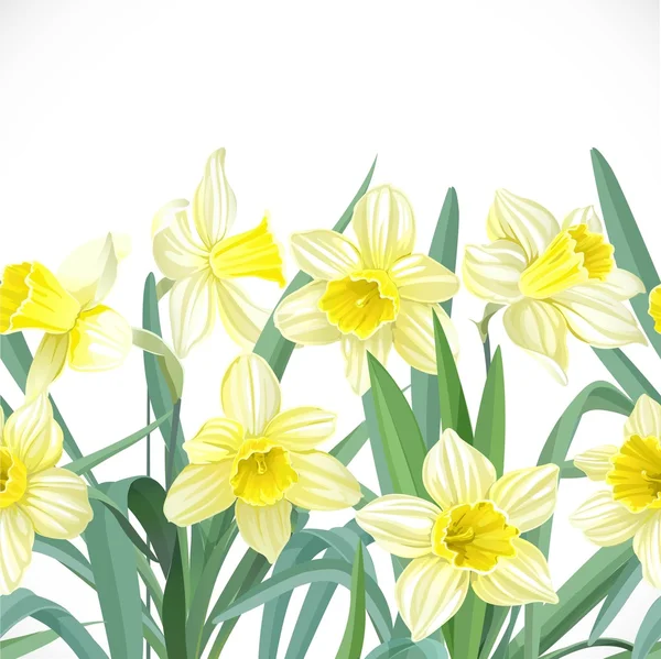 Fondo transparente de Narciso amarillo exuberante — Vector de stock