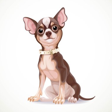 Sevimli küçük chihuahua köpek yaka vektör çizim giyen ben