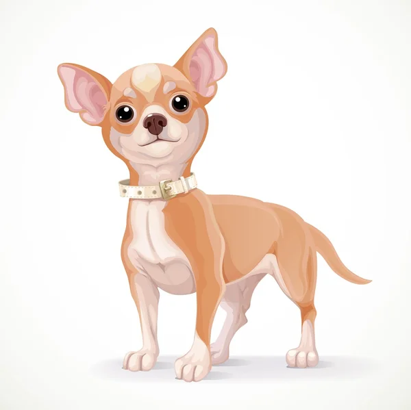 Cute little chihuahua dog vector illustration isolated on white — Stock Vector