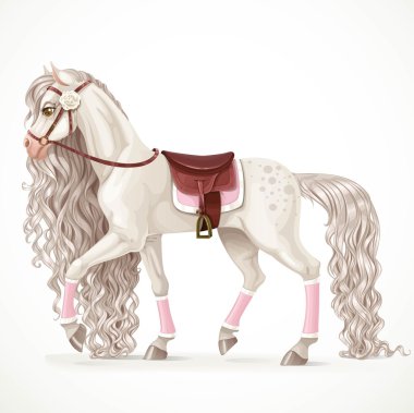 Beautiful white horse with a long mane and saddle blanket isolated on a white background