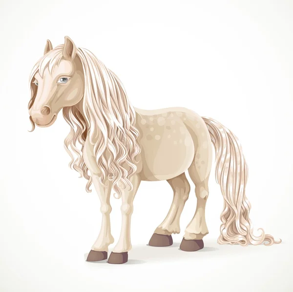Schattig wit pony paard geïsoleerd op een witte achtergrond — Stockvector