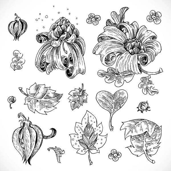 Dibujo en blanco y negro fantasía flores y hojas elemento gráfico — Archivo Imágenes Vectoriales