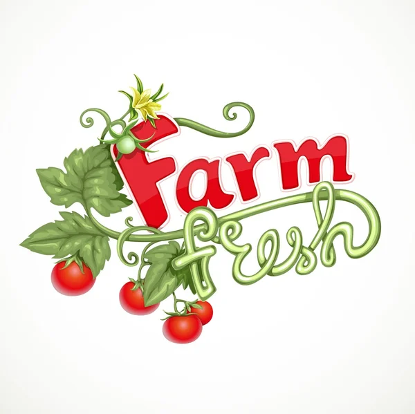 Farm fresh lettering with tomato sprout with flower isolated on — Stock Vector