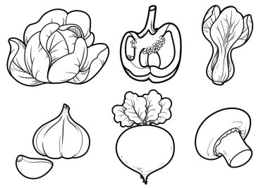 Lahana, tatlı biber, şampiyon, pancar kökü, sarımsak doğrusal beyaz arka plan çizimi
