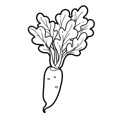 Beyaz arkaplanda yeşil üstlü turp kökü çizimi