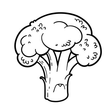 Beyaz arka planda geniş, sağlam brokoli floret doğrusal çizimi