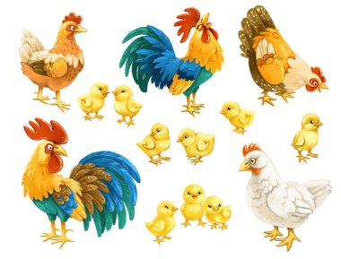 Beyaz arka planda izole edilmiş şirin çizgi film tavukları, tavuklar ve horozlar.