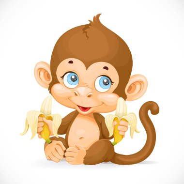 Cute baby monkey with banana isolated on a white background