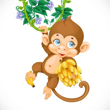 Cute baby monkey with banana isolated on a white background