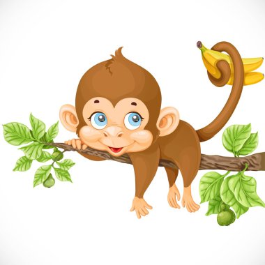 cute monkey lazily lying on a branch and holds the tail of banan