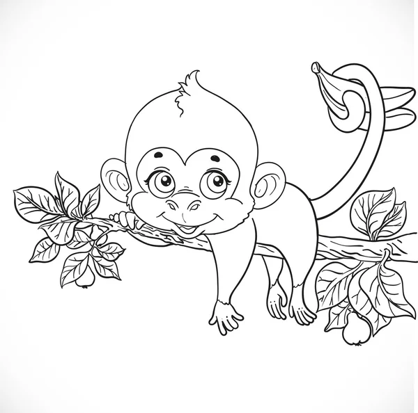 Cute monkey lazily lying on a branch and holds the tail of banan — 스톡 벡터