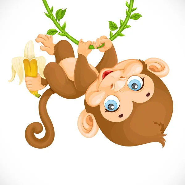 Cute baby monkey with banana hanging on the vine isolated on a w — Stock Vector