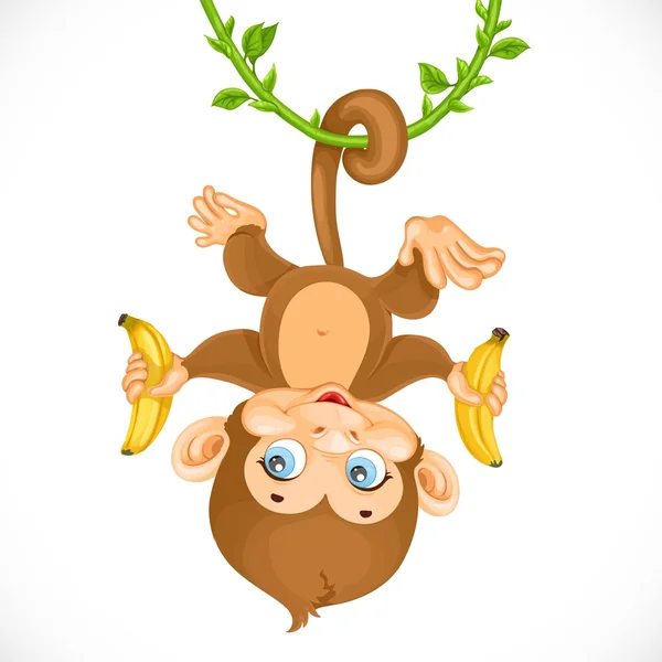 Cute baby monkey with banana hanging on the liana isolated on a — Stock Vector