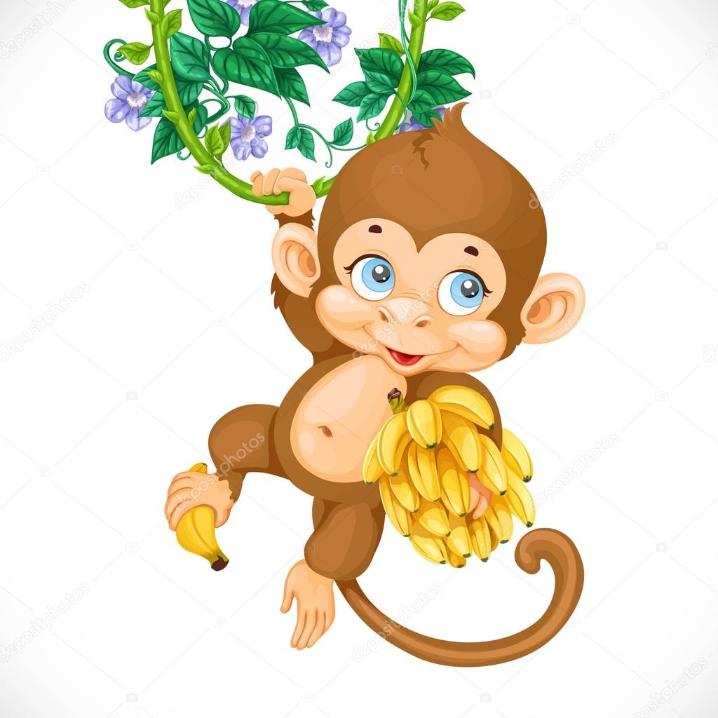 Baby monkey Vector Art Stock Images | Depositphotos