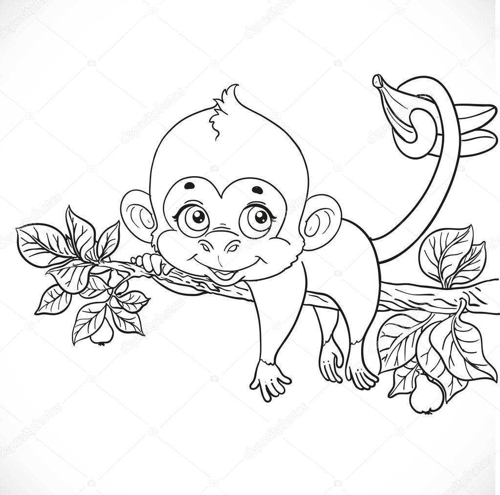 Cute monkey lazily lying on a branch and holds the tail of banan