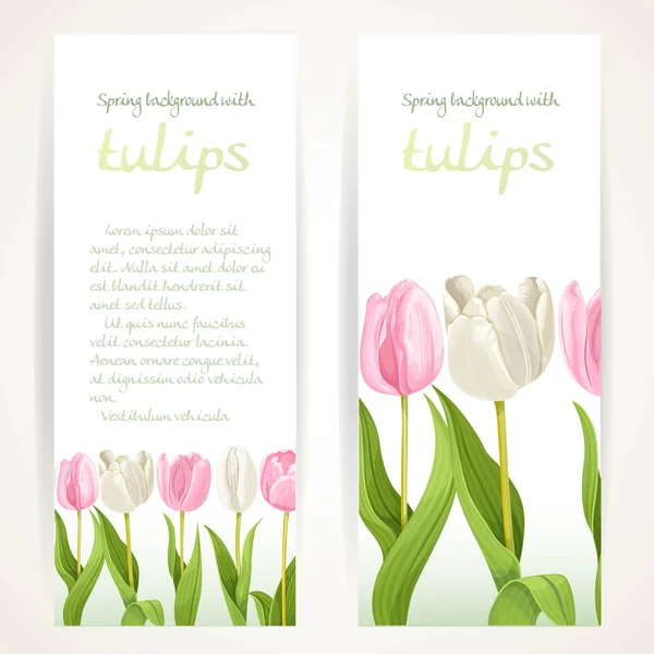 Tulipas cor de rosa e brancas em dois banners em branco verticais em um branco b —  Vetores de Stock