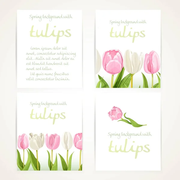 Tulipani rosa e bianchi su quattro bandiere in bianco verticale impostata su un wh — Vettoriale Stock