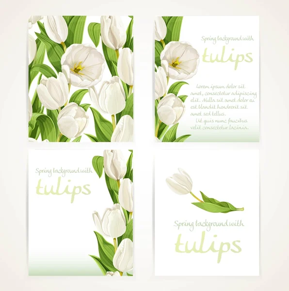 White tulips on four vertical blank banners set on a white background — Stock Vector