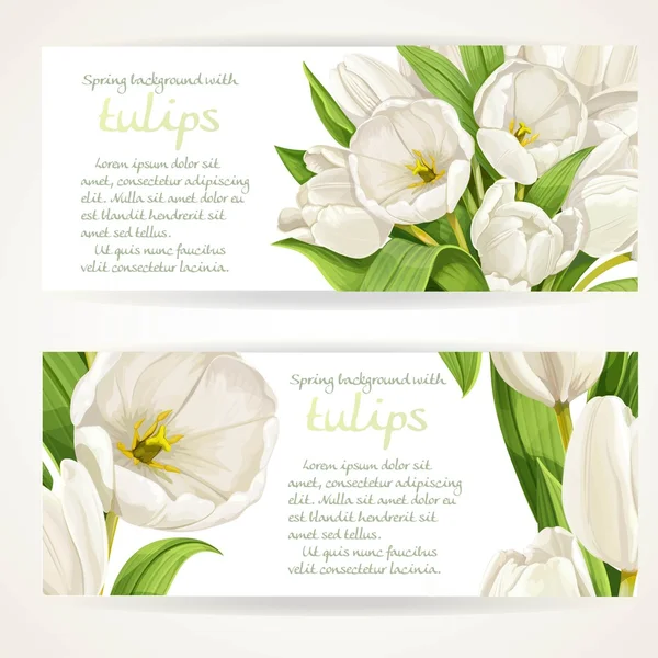 Two horizontal banners with white tulips on a white background — Stock Vector