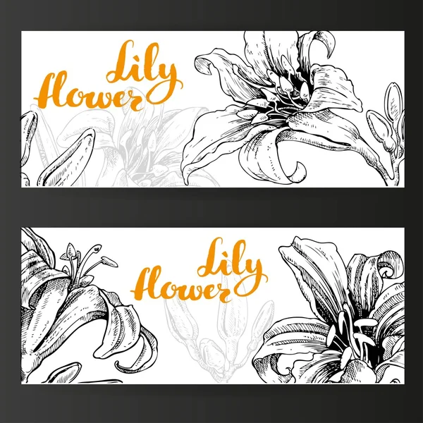 Two horizontal banners with lily flowers and buds ink on a white background — Stock Vector