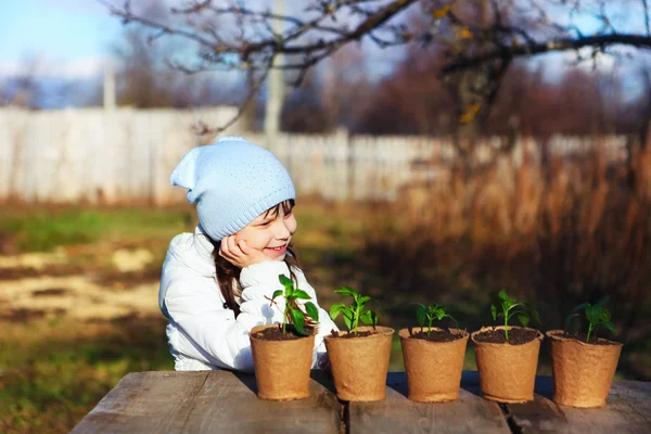 Planta Fechar . — Fotografia de Stock