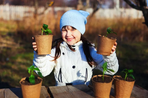 Anlage aus nächster Nähe. — Stockfoto