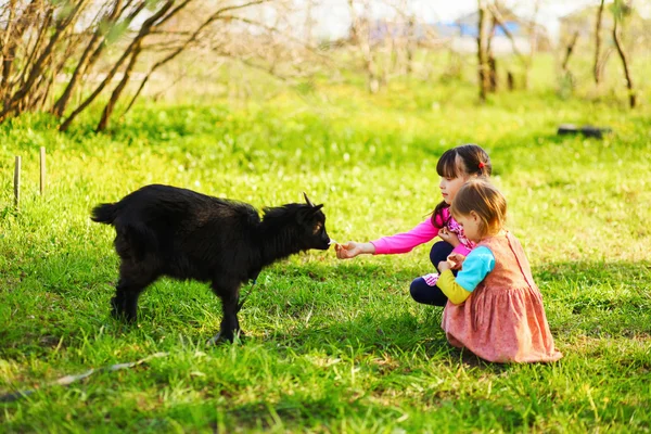 Kinderen gelukkig buitenshuis. — Stockfoto