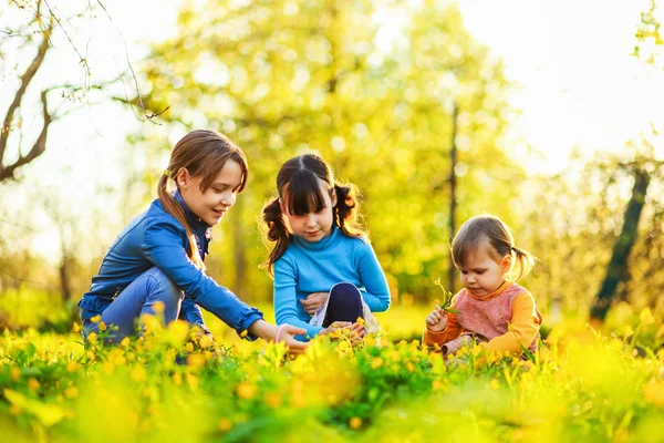 Il bambino in giardino . — Foto Stock