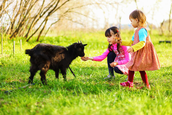 Дети счастливы на открытом воздухе
.