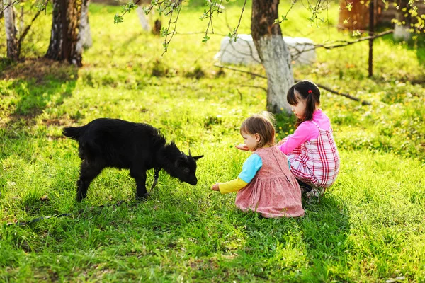 Kinder freuen sich im Freien. — Stockfoto