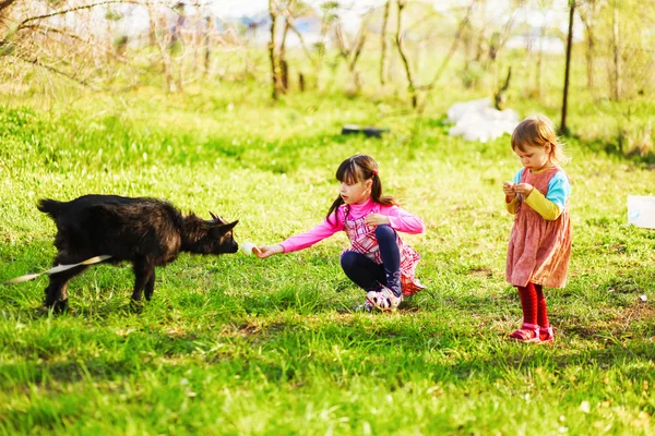 Kinderen gelukkig buitenshuis. — Stockfoto