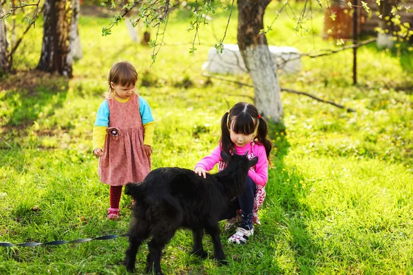 Kinder freuen sich im Freien. — Stockfoto