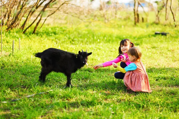 Crianças felizes ao ar livre . — Fotografia de Stock
