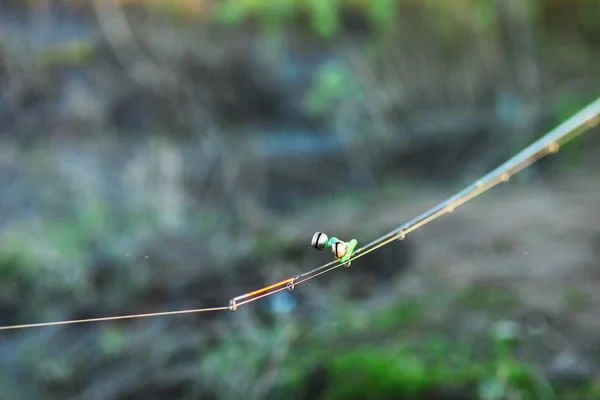 The rod closeup. — Stock Photo, Image