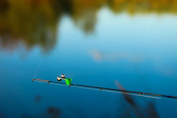 A haste closeup . — Fotografia de Stock