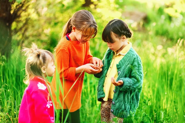 Die Kinder freuen sich im Freien. — Stockfoto