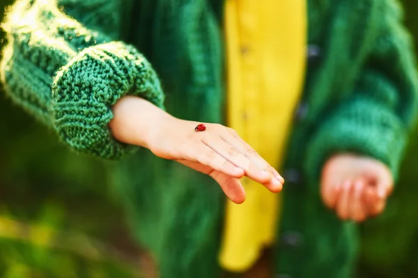 Marienkäfer in der Hand. — Stockfoto